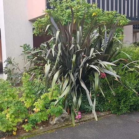 Ker Marie Jo Apartment